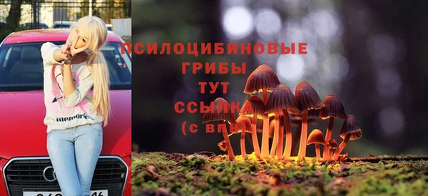 прущий лед Дмитровск